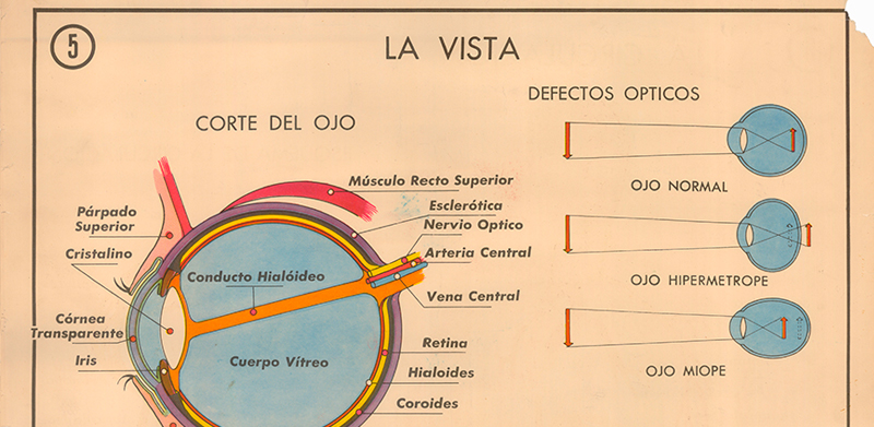 Cartel gabinete sanitario 5: la vista y el o�do