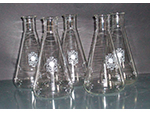 Matraz Erlenmeyer (Schott Mainz Jena Glas, Alemania, d�cada 1960) - Pieza IG: 05777